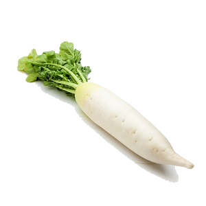 Củ cải trắng
