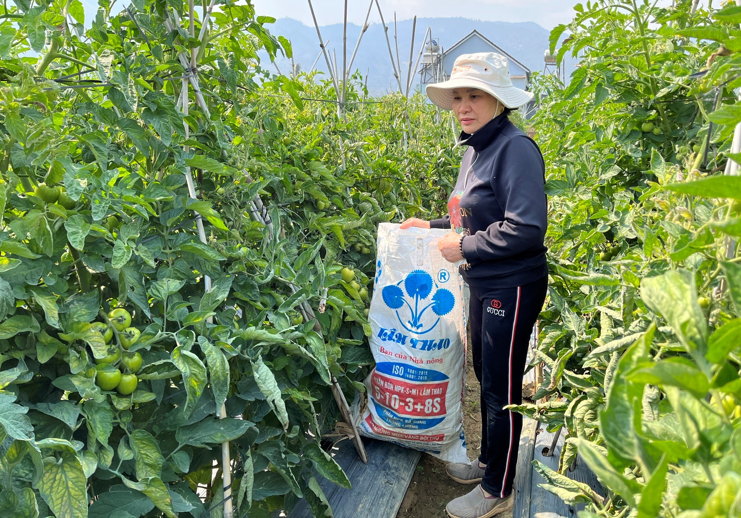 Gặp gỡ nông dân sản xuất kinh doanh giỏi trên cao nguyên Lâm Đồng