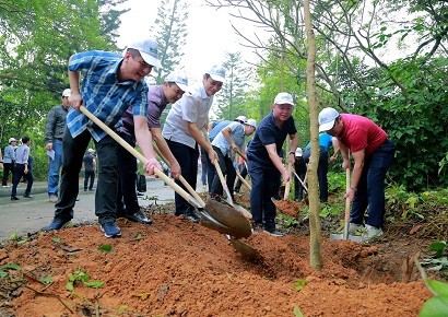 Lãnh đạo Công ty tham gia Lễ phát động trồng cây "Đời đời nhớ ơn Bác Hồ"