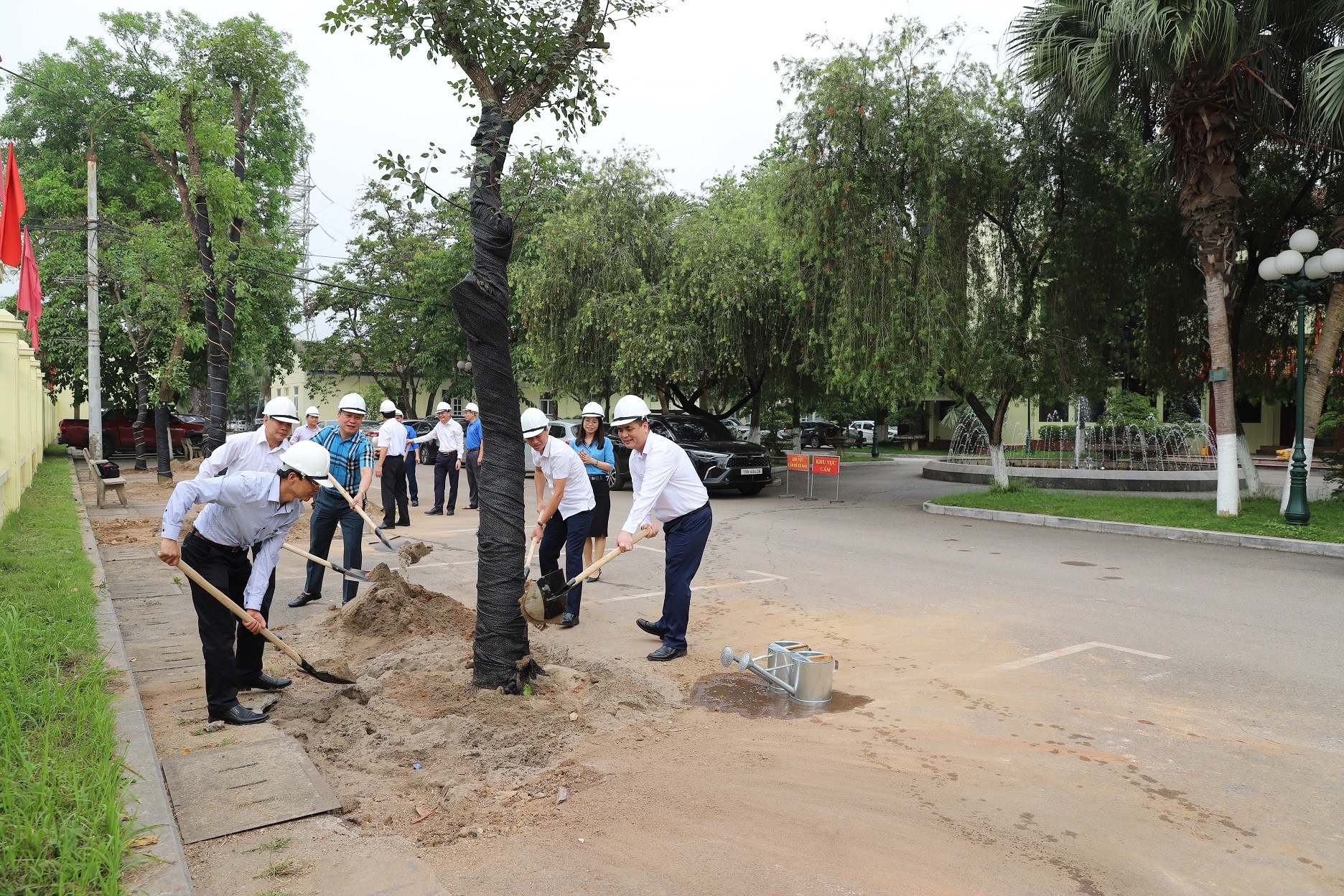 Nhiều cây xanh được trồng trong khuôn viên Công ty  và Khu công nhân Supe.