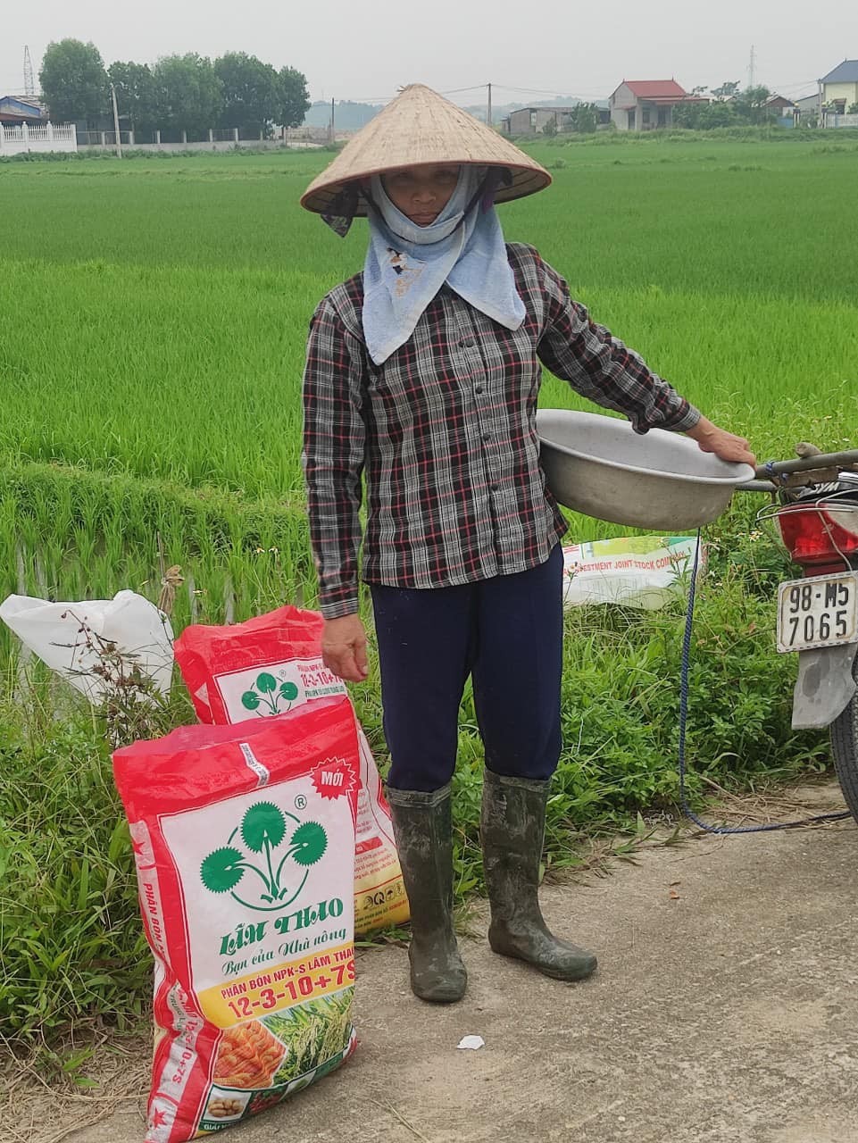 Nét Đẹp Lâm Thao "Sản phẩm phân bón Lâm Thao trên đồng ruộng"