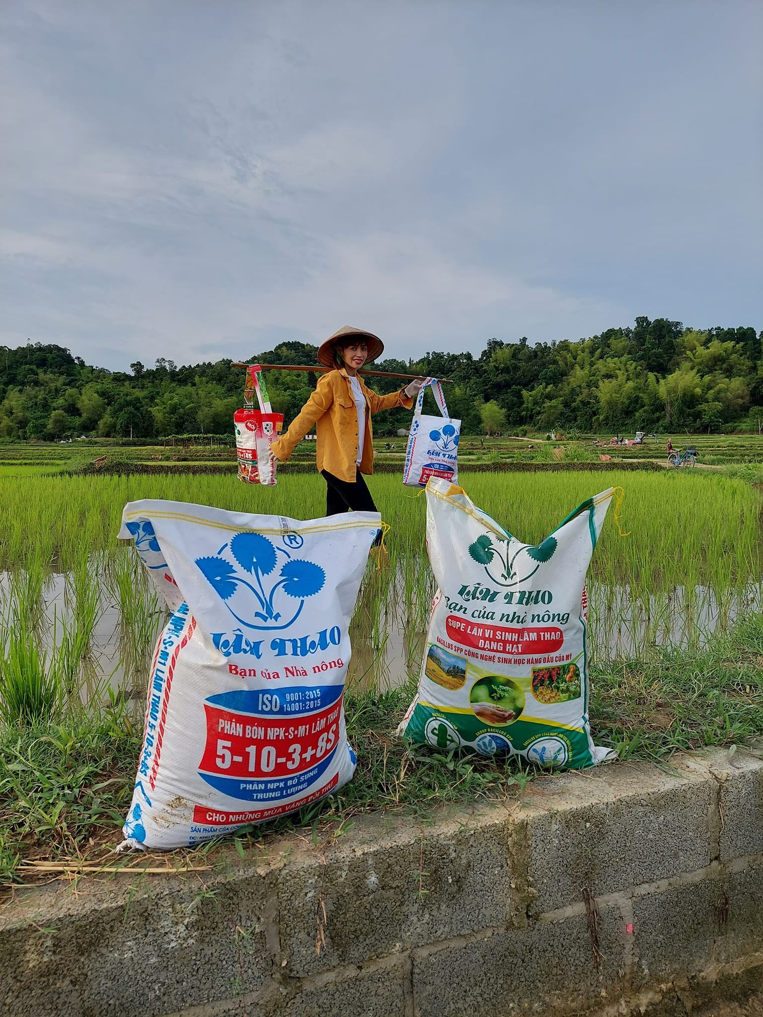 Nét Đẹp Lâm Thao "Sản phẩm phân bón Lâm Thao trên đồng ruộng" 02